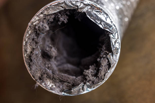 Best Affordable HVAC Duct Cleaning  in Boulder Creek, CA